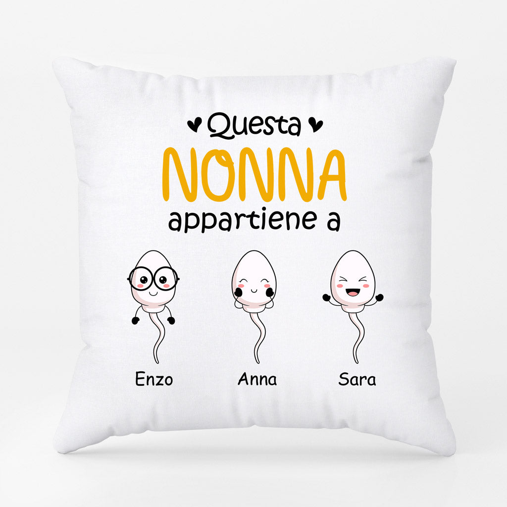 0885POT2 Regali personalizzati cuscini sperma mamma nonna
