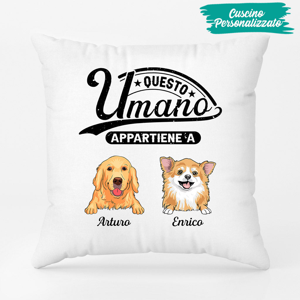 OT_0625P2_654d753f 430e 4d74 9c92 215dd7464881