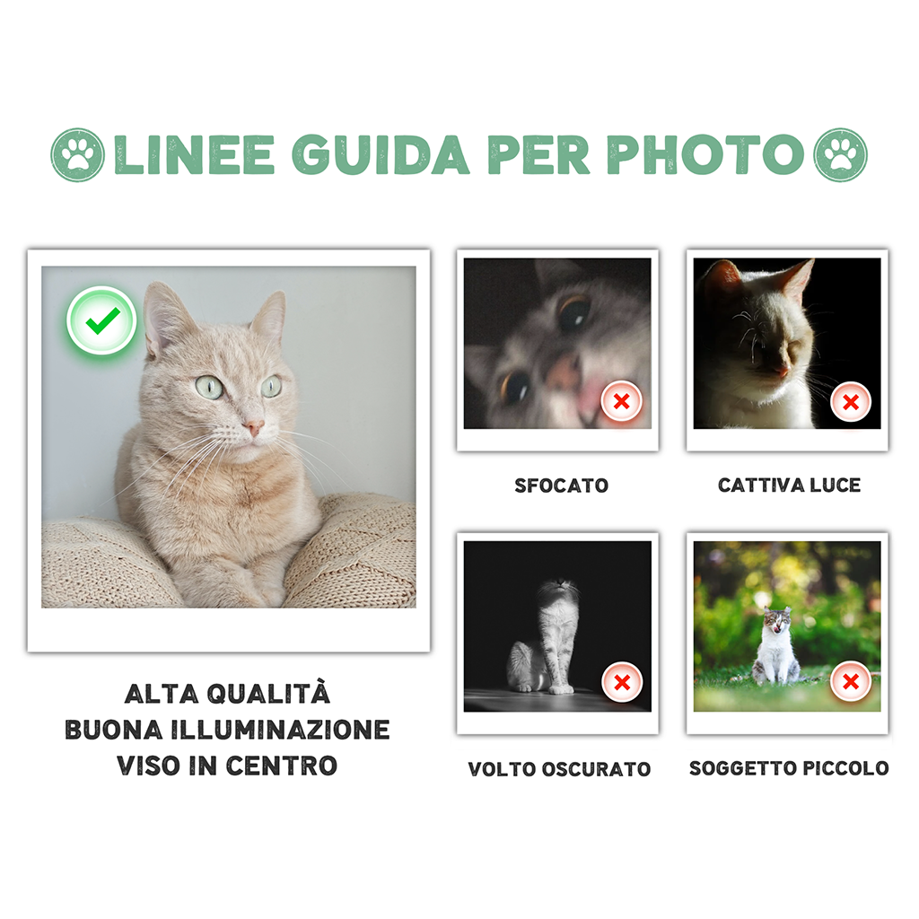 PHOTOGUIDELINEMEOY_4f857965 2260 45dc aae5 90c9a47f71ac