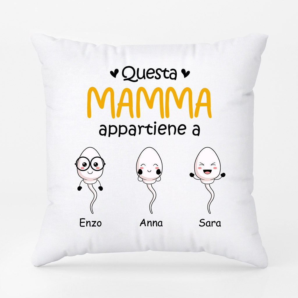 0885POT1 Regali personalizzati cuscini sperma mamma nonna