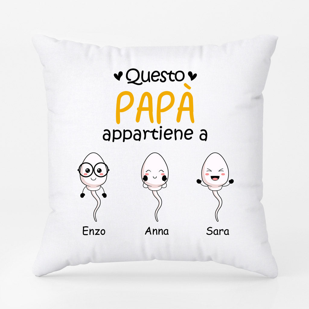 0885POT1 Regali personalizzati cuscini sperma papa nonno